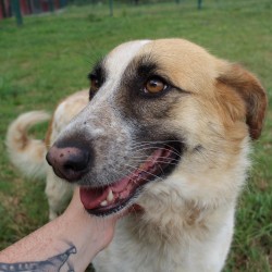 Kumba