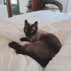 Nina