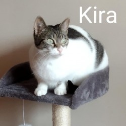 Kira
