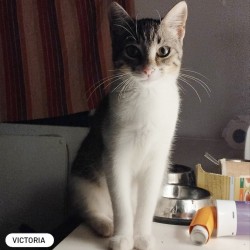 Victoria