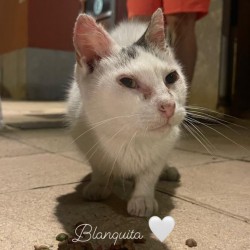 Blanquita