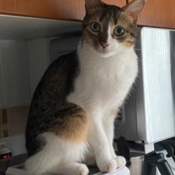 Mia