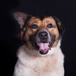 Bailey