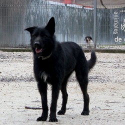 Moro