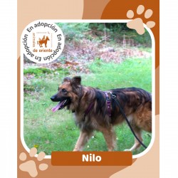 Nilo