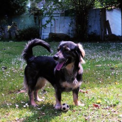 Lilly
