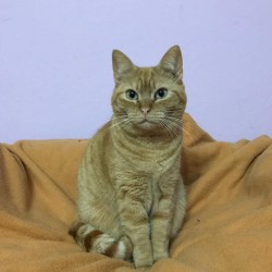 Yera