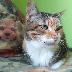 Linda