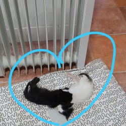 Pepa y Pepe