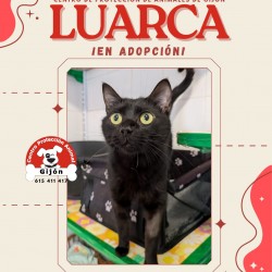 Luarca