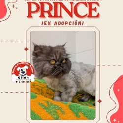 Prince