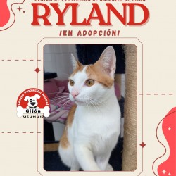 Ryland