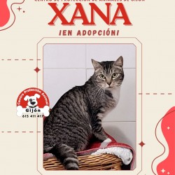 Xana