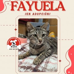 Fayuela