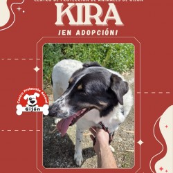Kira