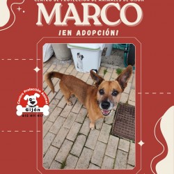 Marco