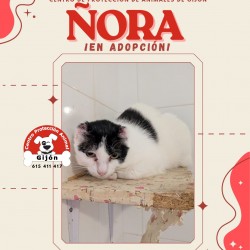 ÑORA
