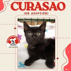 CURASAO