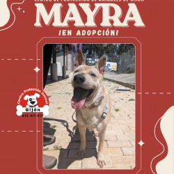 MAYRA