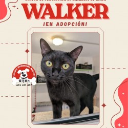 WALKER