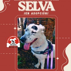 SELVA