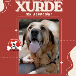 XURDE