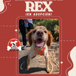 REX