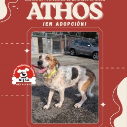 ATHOS