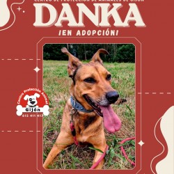 DANKA