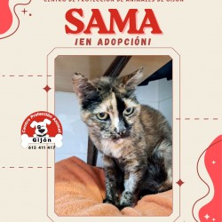 SAMA