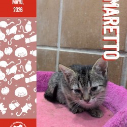 AMARETTO