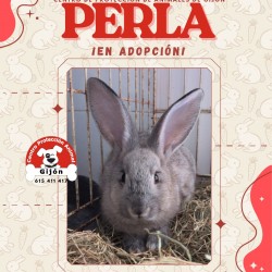 PERLA