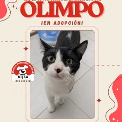 OLIMPO