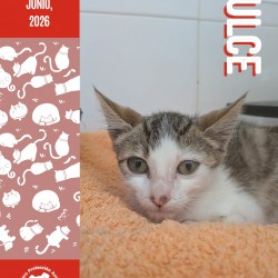 DULCE