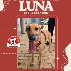 LUNA