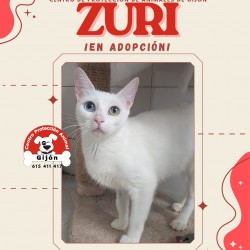 ZURI