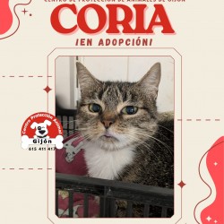 CORIA