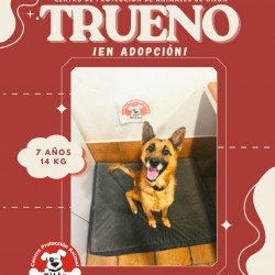 Trueno