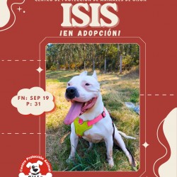 Isis