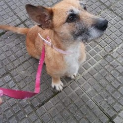 Nora