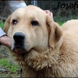 Josefa