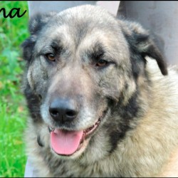 Luna
