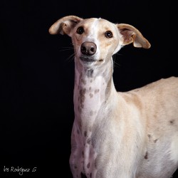 Bianca