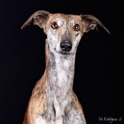 Matilda