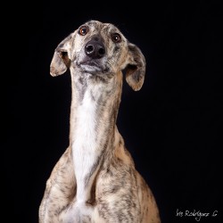 Telma