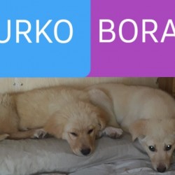 Urko y Bora