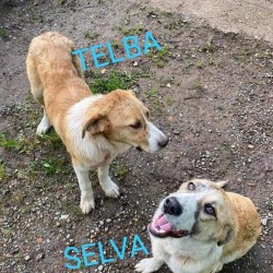 Telva y Sam