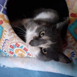 Tina