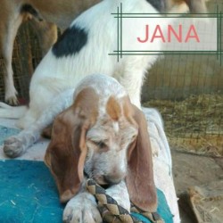 Jana