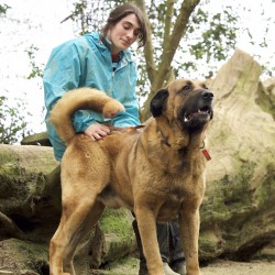 Scooby